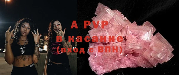 ешки Тайга