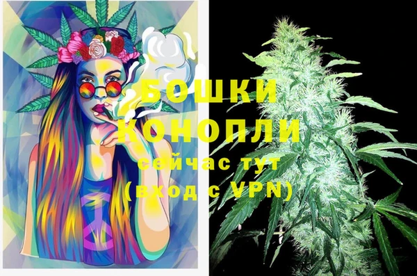 крисы Осташков