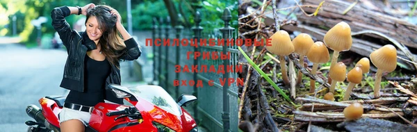 меф Осинники