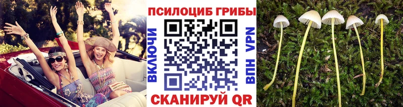 сколько стоит  Зеленодольск  Галлюциногенные грибы мухоморы 