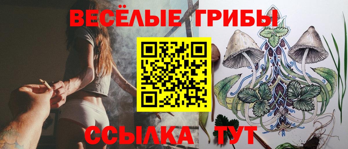 Псилоцибиновые грибы Cubensis  Зеленодольск 