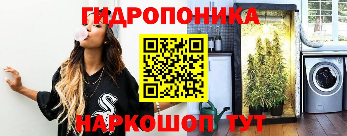 Конопля планчик  Бошки марихуана индика  Марихуана Bruce Banner  Зеленодольск 